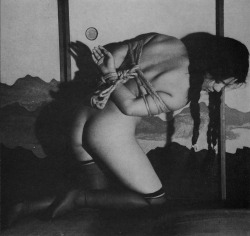 darkflowersofevil:  Kitan Club, 1971 [crop] 