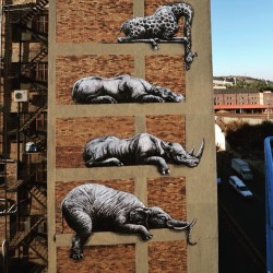 soupmagazine:  Roa #artist #graffiti #urbanart #murales #streetart