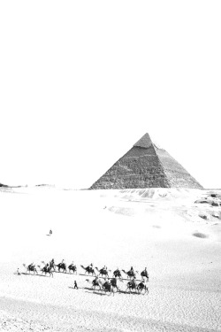 dopediamond:  Dope…Great Pyramid of Giza, Giza - Egypt  