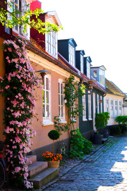 travelingcolors:  Møllestien, a steet in Aarhus | Denmark (by