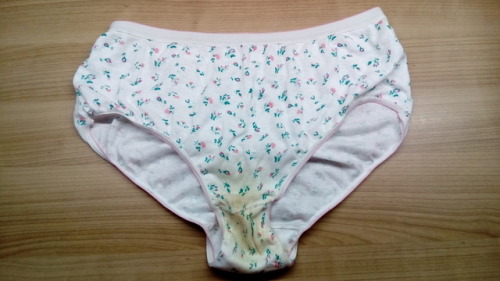  wornpant submitted:My girlfriends panties