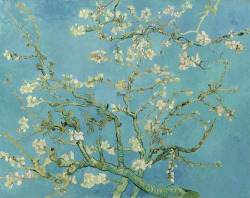 reyynas:  Almond Blossom. Vincent van Gogh, 1890. Oil on canvas,