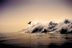 surf-fear:  photo by Corey WilsonYadin Nicol in Morocco