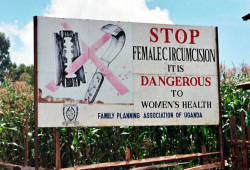 largelabiaproject:  Cultures that involve and allow female circumcision,