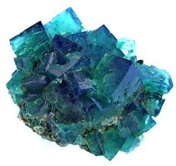 mineralists:  Fluorescent blue and green FluoriteCubic, gemmy