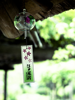 japan-overload:  typical summer (such as wind chime) by torne