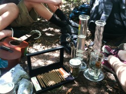 weedorz:  Quality weed pictures, always. 