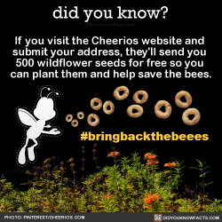 did-you-kno: If you visit the Cheerios website and  submit your