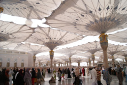 Sun protection in Medina