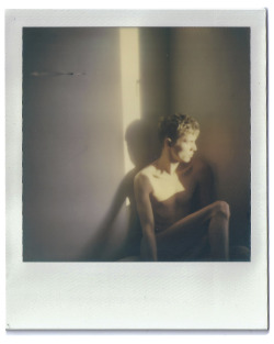 thobias:  december light (polaroid sx-70), Thobias Malmberg (www.thobiasmalmberg.com)