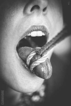 vanillais4icecream:  oooinfinityooo:  Tongue tied or tied tongue?