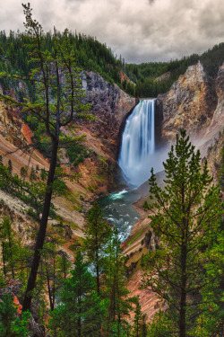 mistymorningme:  Brink of the Lower Falls by jbkalla 