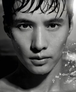 Won Bin