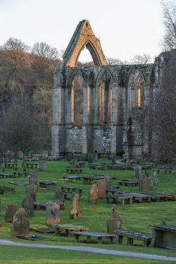 wanderthewood:  Bolton Abbey, North Yorkshire, England by alh1