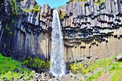 flexab:  Svartifoss - Iceland