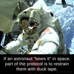 mindblowingfactz:   If an astronaut “loses it” in space,