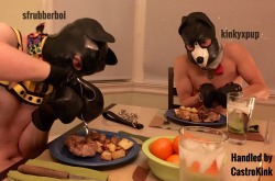 sfrubberboi:  Puppies get very hungry after playtime. Although