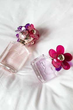 marcjacobs:  Meet Daisy Sorbet, a blooming bouquet with both