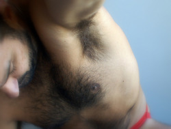 armpitstench:  Fuzzy furry guys