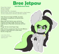 askbreejetpaw:  Bree’s Reference Sheet for 2014! :3 #1 What