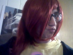 donnerdontcosplay:  Just got my Kyoko wig in the mail!  It looks