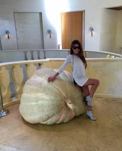 I am guessing this pumpkin weighs about … I have no idea,