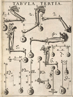 lindahall:  Plates from De motu animalium. Pars prima. 1680,