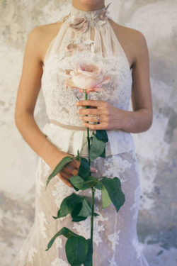♥ Mademoiselle Rose ♥