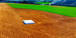 stace-lynn:  mlb:Perfection. the need for me to go walk on this