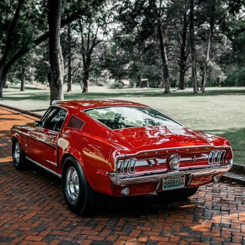 yourcarsstuff:Badass 