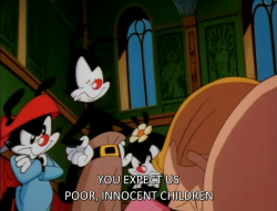 sambatte:  animaniacs really gets me 