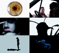 peterquill:  Under the Skin (2014)  I’ve been saving my