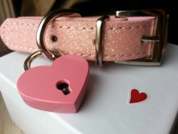 mylittlensfwblog:  Couple more photos of my pink pleather collar