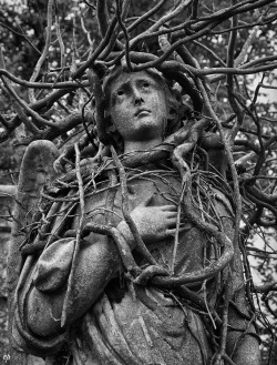 excelsior-praeteritum:  Kensal Green Cemetery, London, 1996 By Pat