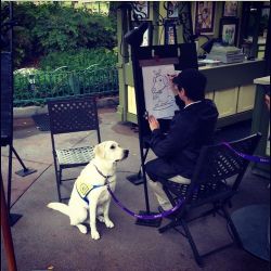 Sweetest picture ever. #labs #eeeeeee #disneyland #servicedog