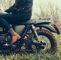 troyarboc:  Shooting Triumphs new scrambler featured in the new