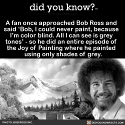 did-you-kno:A fan once approached Bob Ross and   said ‘Bob,