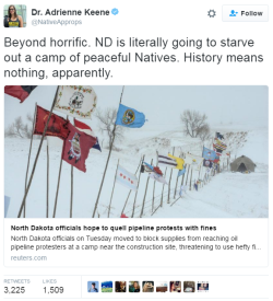 thisiseverydayracism: blackness-by-your-side:  And remember, this is 2016. The government itself starves Native Americans who just protect their own land.Â  The media is silent, as usual. God bless these warriors.Â  #NoDAPL #NoJusticeNoPeace   This is