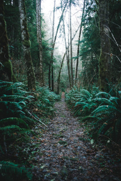 brutalgeneration:  Iron Mine Bay (by Andy Grellmann) 