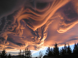 jockohomo:  APOD, Asperatus Clouds Over New Zealand - “What