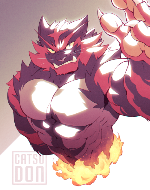 catsudon:  Here is my Incineroar husband 