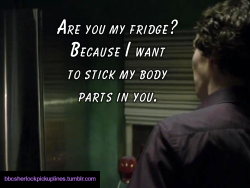 â€œAre you my fridge? Because I want to stick my body parts