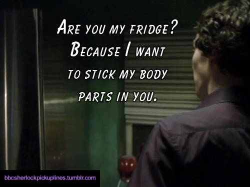 â€œAre you my fridge? Because I want to stick my body parts in you.â€
