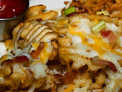 fatty-food:  waffle cheese fries (by Paula Thomas)