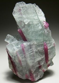 ggeology:  Tourmaline crystals in Aquamarine 