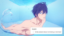 sarcastic-clapping:  sarcastic-clapping: free! + tumblr posts