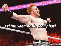 thewweconfessions:  “I think Sheamus is really hot!” 