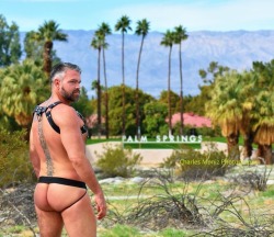 lancenavarro:  Welcome to Palm Springs.  Shot by @charles_moniz