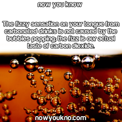 nowyoukno:  Source for more facts follow NowYouKno  