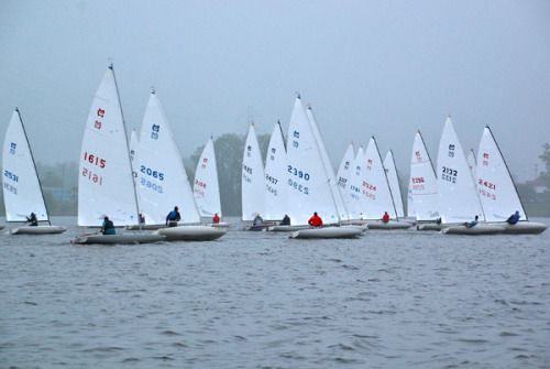 Scow racing